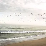 호텔 Noah Surf House Portugal 산타 크루즈