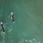Noah Surf House Portugal 호텔 *