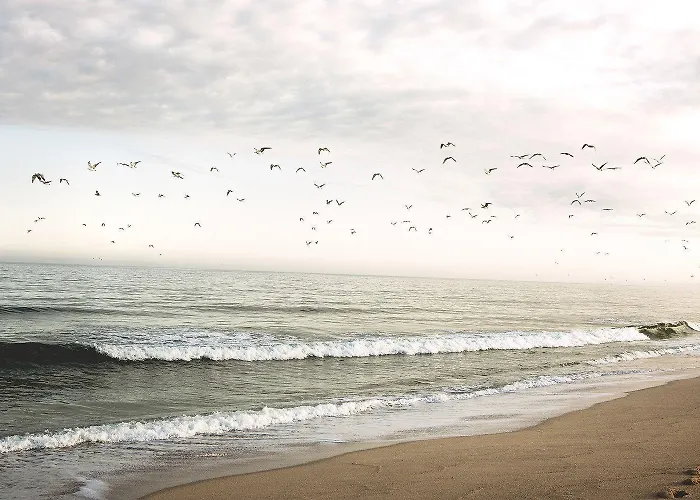 Hotel Noah Surf House Portugal Santa Cruz (Oeste)