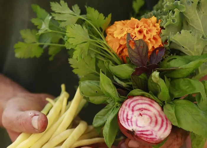 Hotel Noah Surf House Portugal *